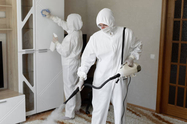 24/7 Emergency Odor Removal experts in San Ramon, CA